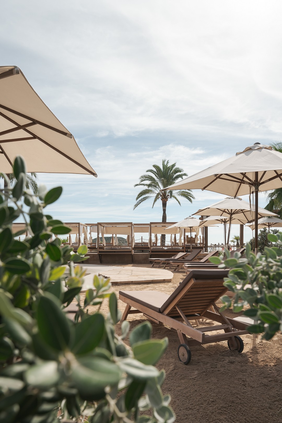 HADLEY´S CLUB MALLORCA: HADLEY´S CLUB MALLORCA