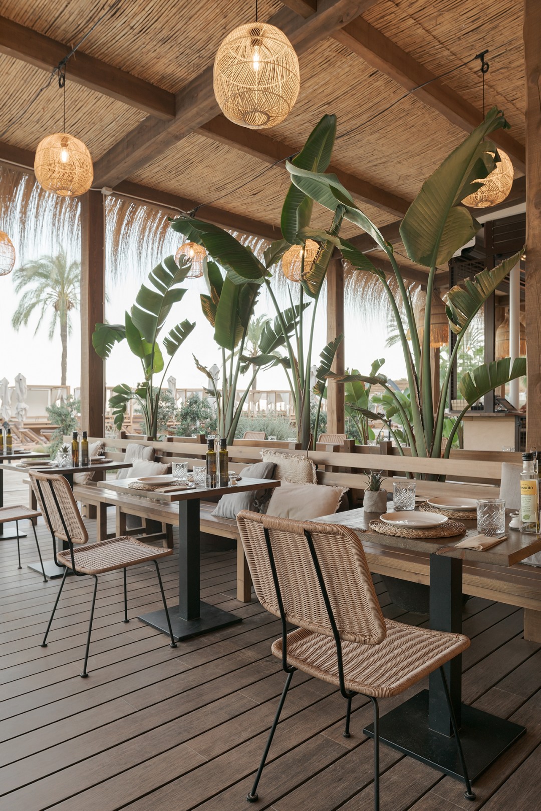 HADLEY´S CLUB MALLORCA: HADLEY´S CLUB MALLORCA