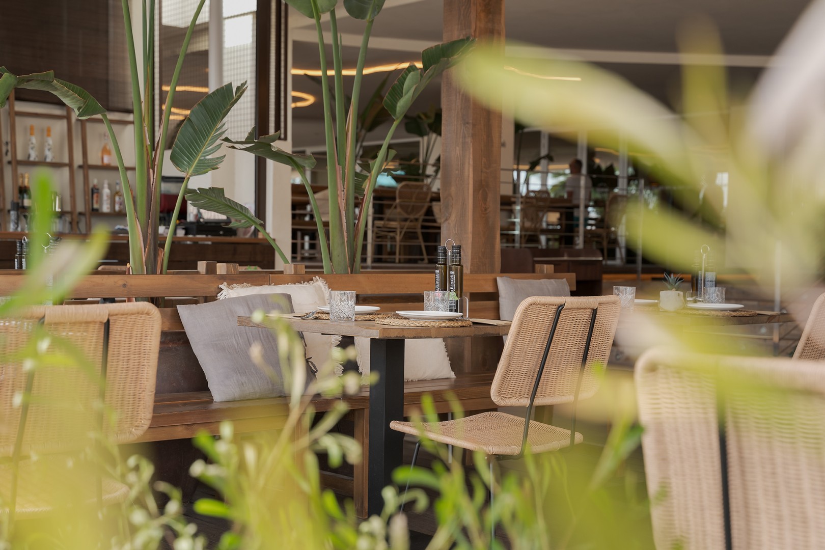 HADLEY´S CLUB MALLORCA: HADLEY´S CLUB MALLORCA
